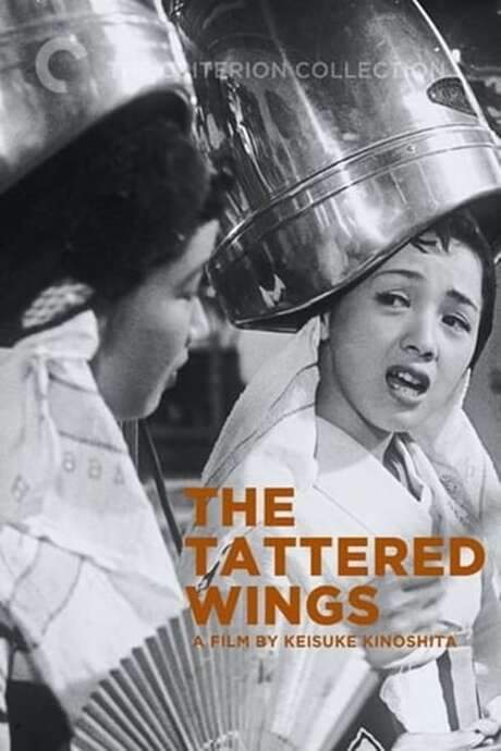 The Tattered Wings